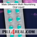 Male Silkworm Moth Nourishing Oral Liquid 28